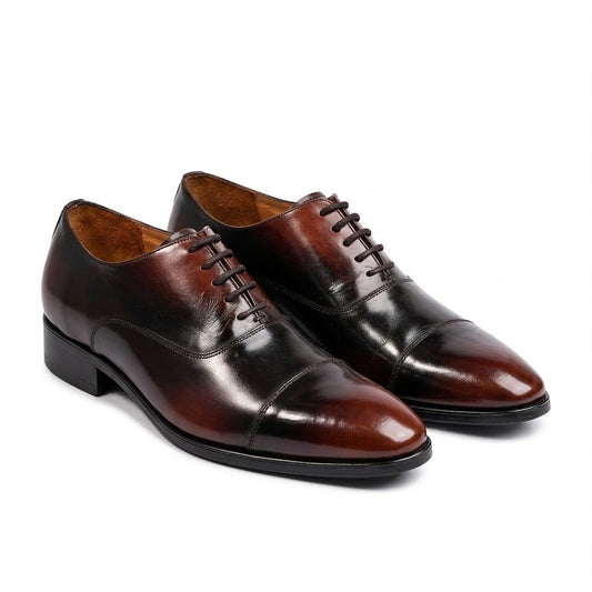 Burgundy Oxford