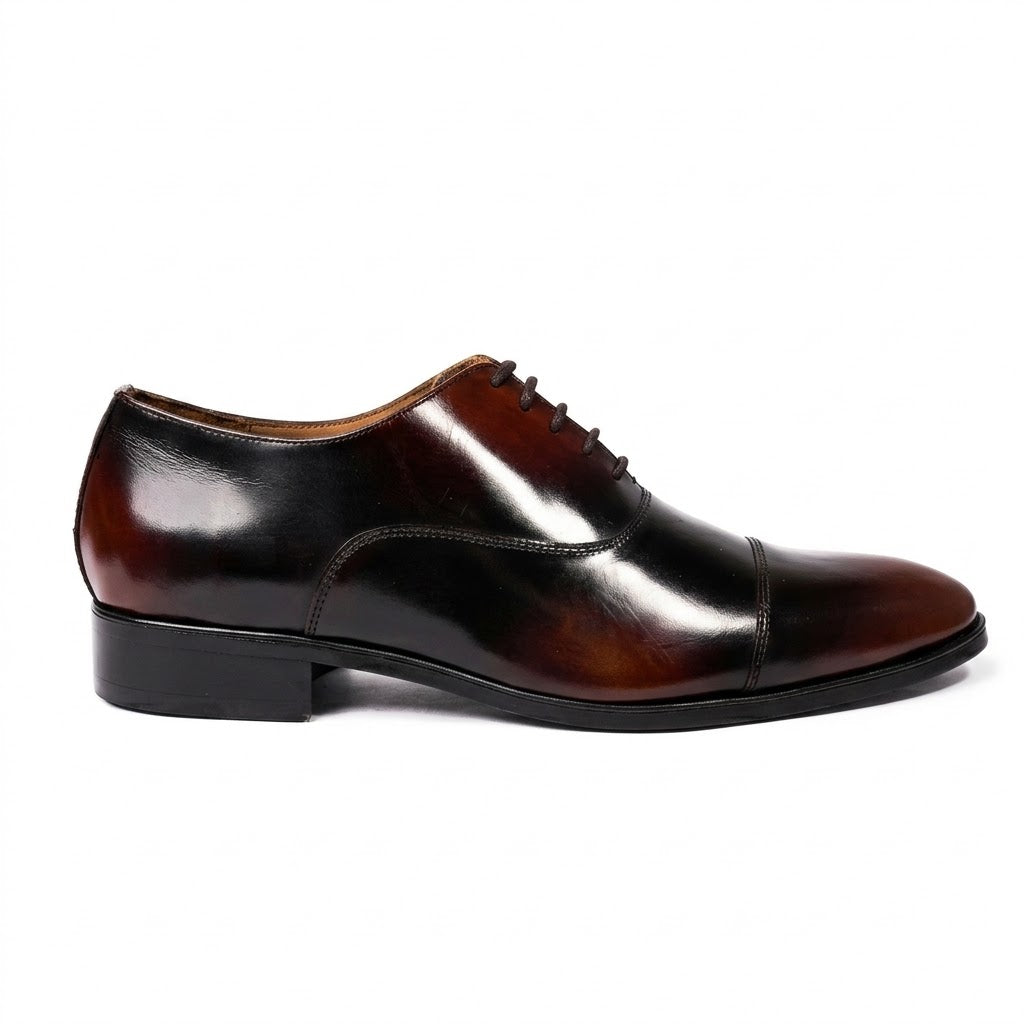 Burgundy Oxford