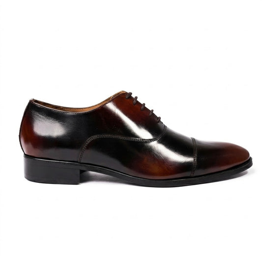 Burgundy Oxford